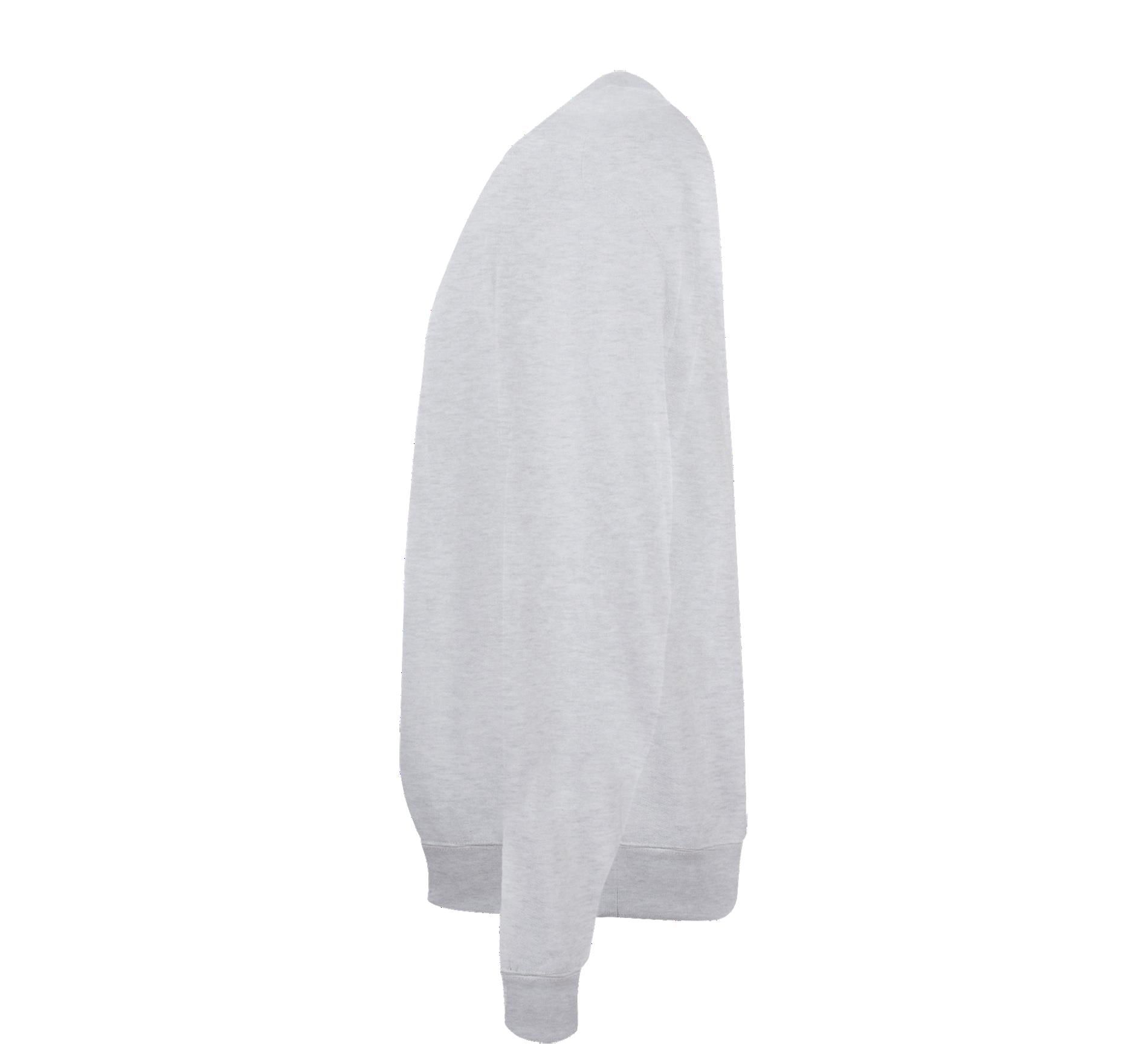 Φούτερ Crewneck 01168 Sol&Apos S Spider Ash ανδρικά Simple Wear
