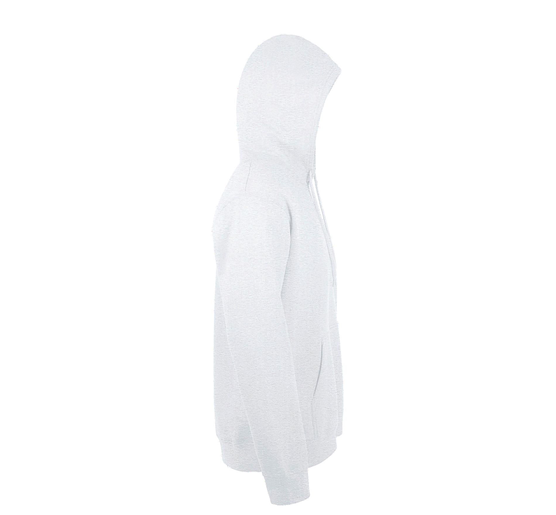Φούτερ Hoodie Snake 47101 Sol&Apos S Aqua Ash ανδρικά Simple Wear