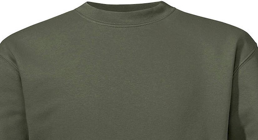 Φούτερ Authentic Crewneck R-262M-0 Russell Olive ανδρικά Simple Wear