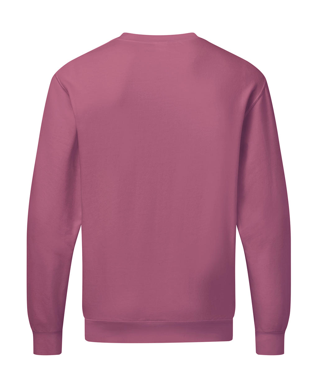 Φούτερ Crewneck Sg20 Sg Cassis Outlet ανδρικά Simple Wear