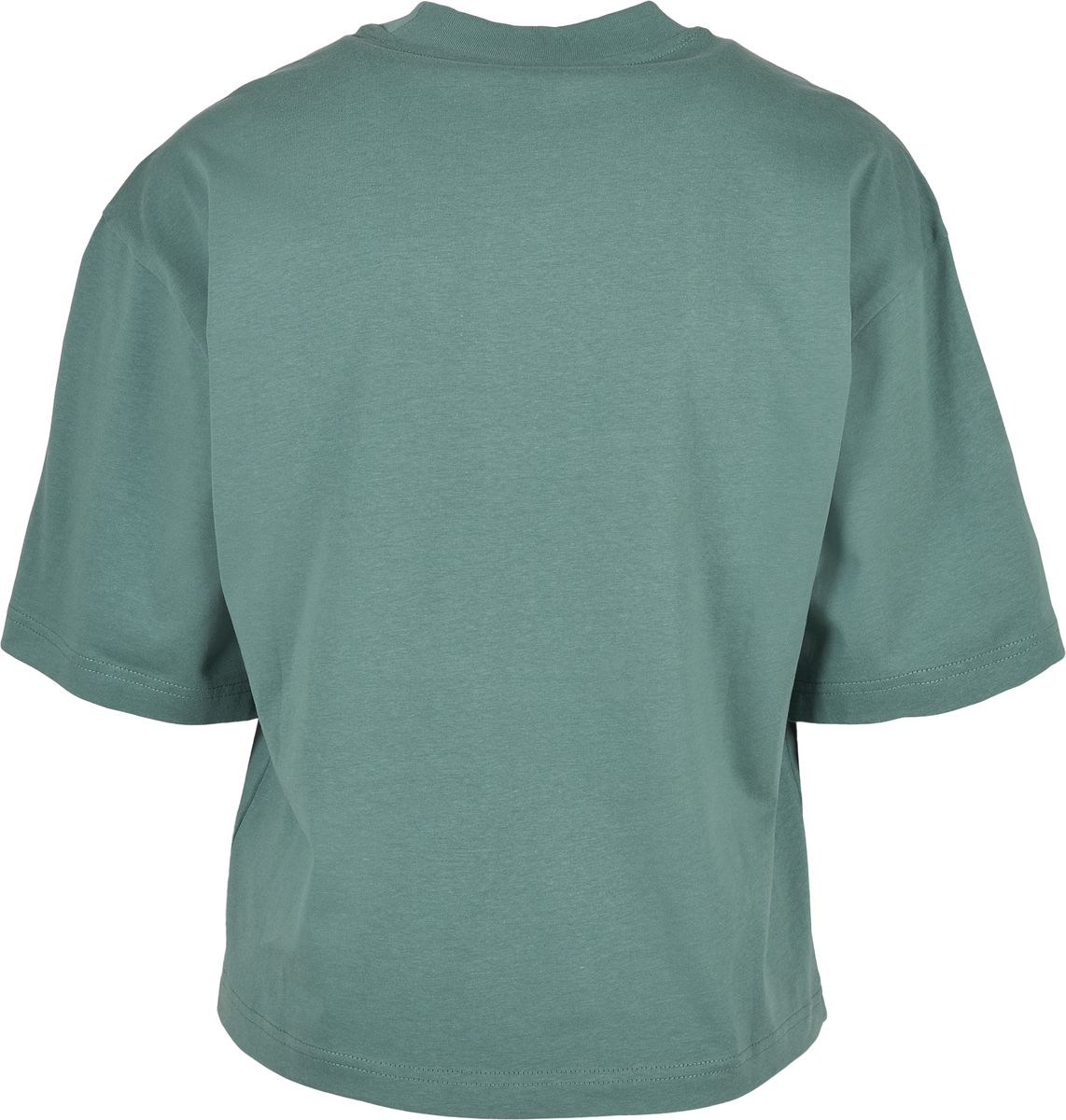 Γυναικείο T-Shirt Organic Oversized TB4077-02900 Urban Classics Pale Leaf