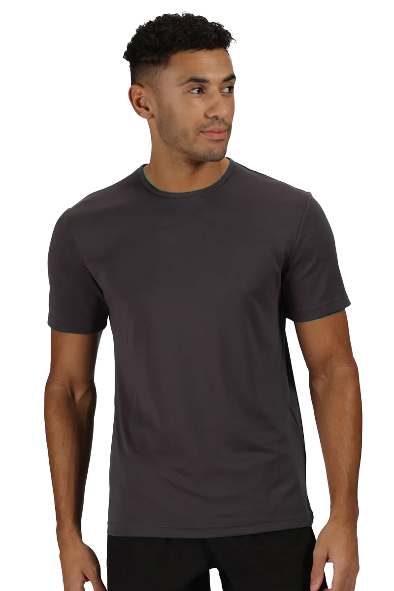 Ανδρικό T-Shirt Torino Regatta TRS187 Seal Grey
