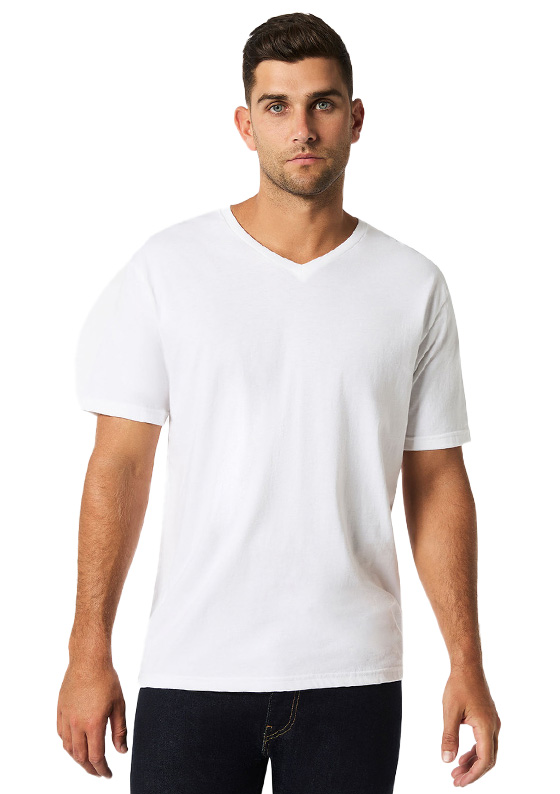 Ανδρικό T-Shirt Softstyle 64V00 Gildan V-Neck White