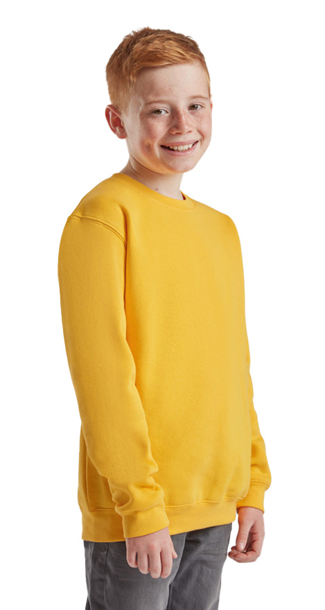 Παιδικό Φούτερ Set-In Sweat 62-031-0 Fruit of the Loom Sunflower