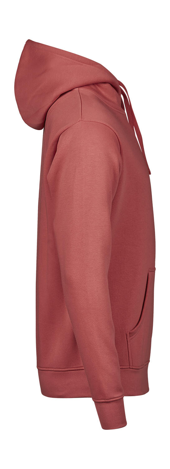 Φούτερ με Κουκούλα Unlabeled 5152 Tee Jays Cranberry ανδρικά Simple Wear