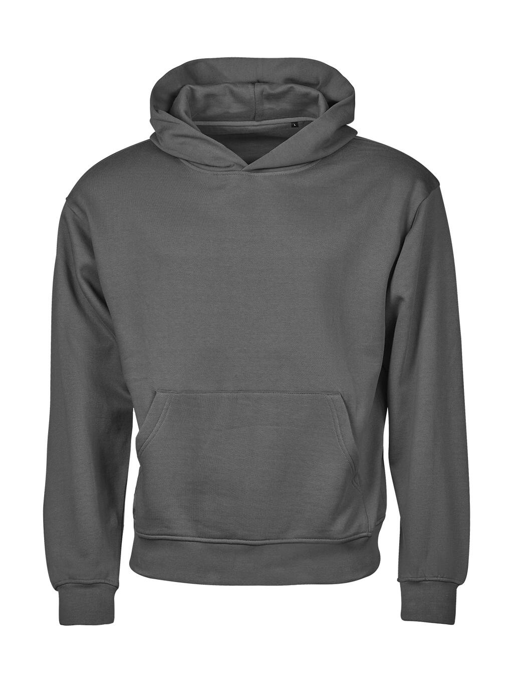 Φούτερ με Κουκούλα Heavy Loose Fit 5162 Tee Jays Powder Grey