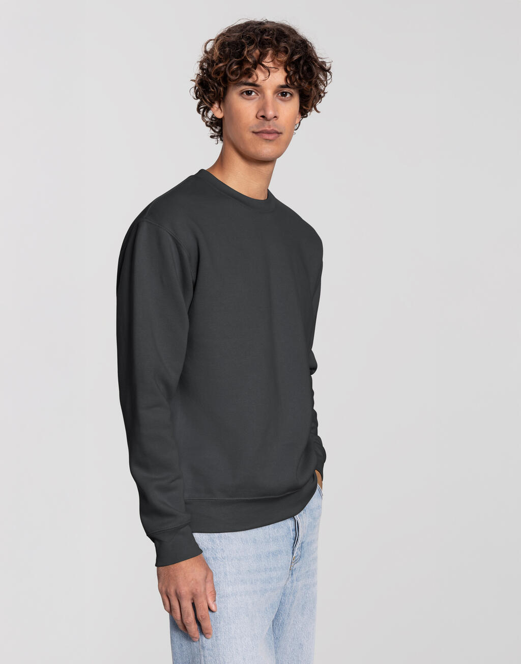Φούτερ Μπλούζα 0622820 Fruit Of The Loom Iconic Premium Set-In Sweat Light Graphite ανδρικά Simple Wear