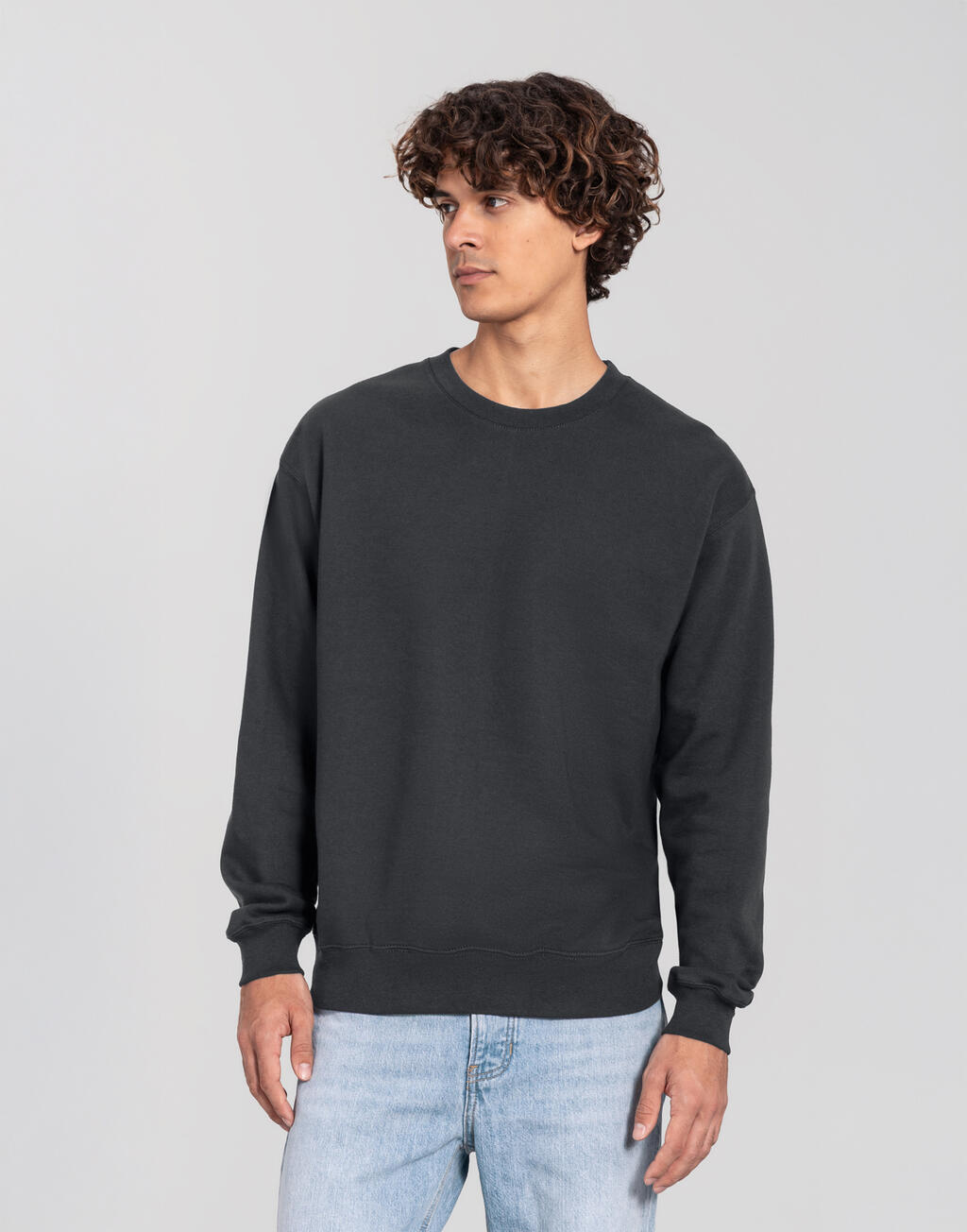 Φούτερ Crewneck Iconic 250 0622920 Fruit of the Loom Light Graphite