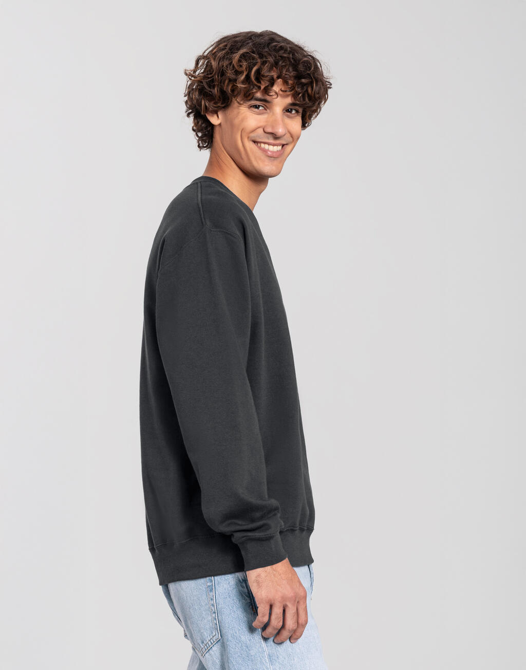 Φούτερ Crewneck Iconic 250 0622920 Fruit Of The Loom Light Graphite ανδρικά Simple Wear