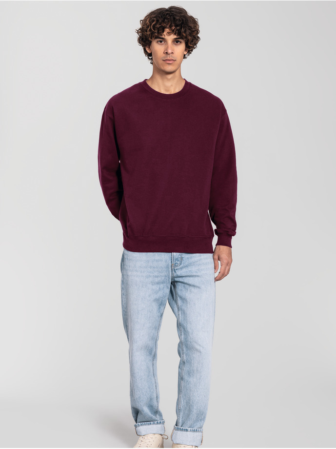 Φούτερ Crewneck Iconic 250 0622920 Fruit Of The Loom Burgundy ανδρικά Simple Wear