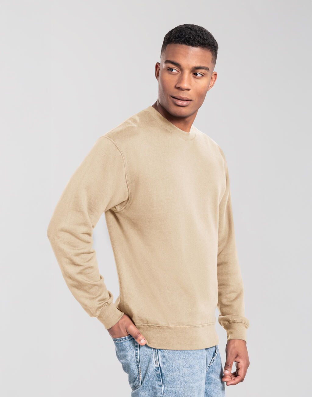 Φούτερ Crewneck Iconic 250 0622920 Fruit of the Loom Desert Sand
