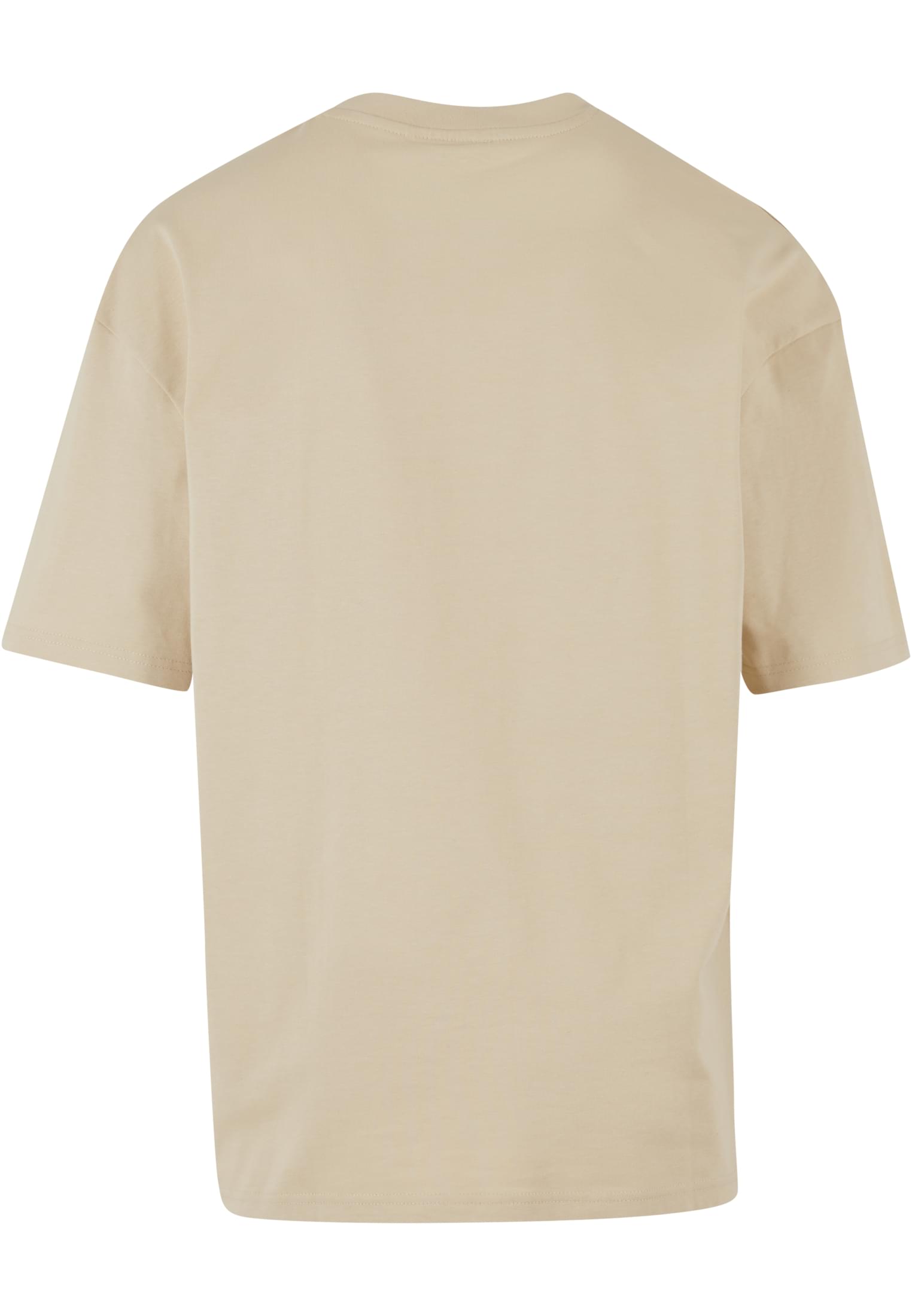 Trust Issues T-Shirt με Εντυπωσιακή Εκτύπωση Dfts250-14065 Def Whitecap Gray ανδρικά Basic T-Shirts Simple Wear Μπλουζάκια κοντομάνικα