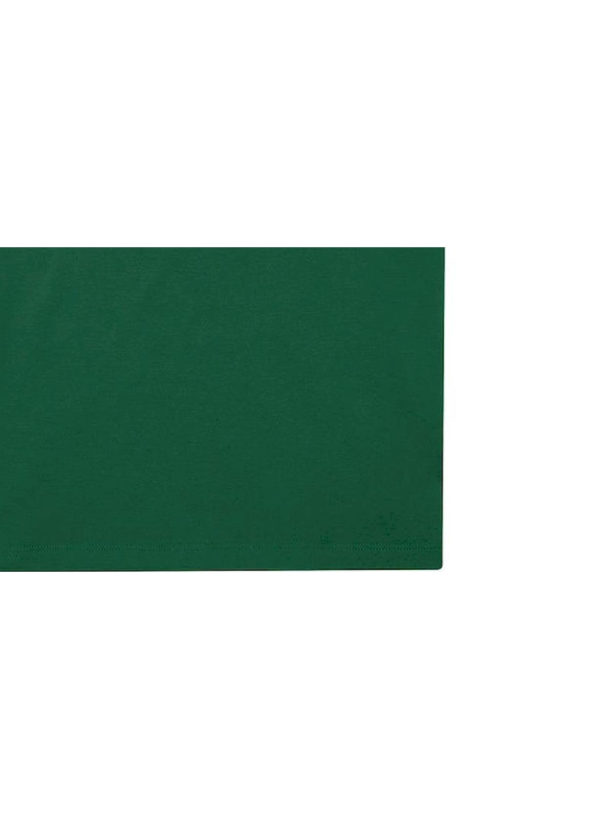 Γυναικεία Μπλούζα Polo PW461 B & C My Polo 180 Ivy Green