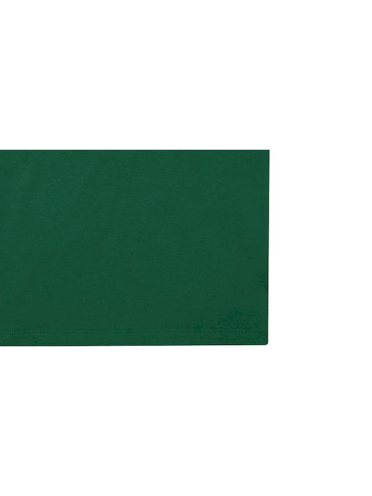 Γυναικεία Μπλούζα Polo PW463 B & C My Polo 210 Ivy Green