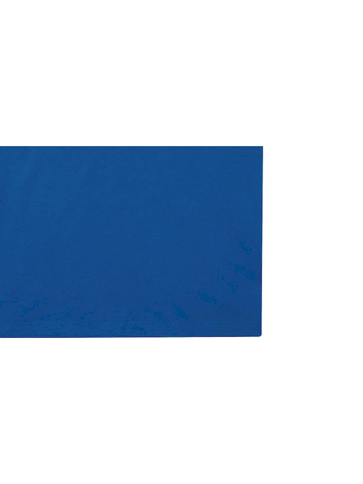 Γυναικεία Μπλούζα Polo PW465 B & C My Eco Polo 65/35 Royal Blue